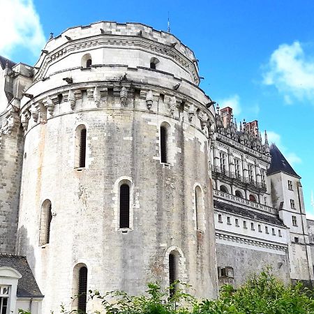 En Plein Coeur : Charmant Gite Centre Amboise Exterior photo
